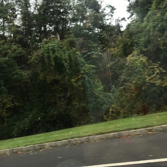 Meet your Posher, Linnet - Picture 1 of 1